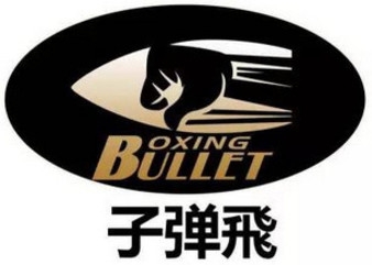 BFFC - Bullet Fly Fighting Championship 20